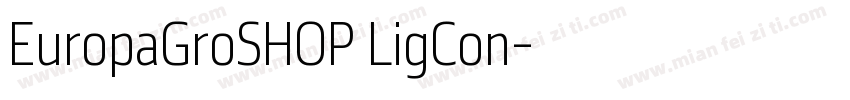 EuropaGroSHOP LigCon字体转换